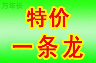 福田广东省深圳市福田区墓地价格查询